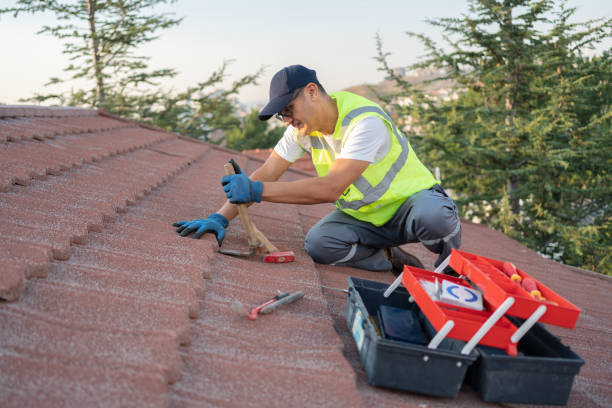 Best Gutter Installation and Roofing  in Brookridge, FL
