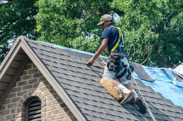Best Storm Damage Roof Repair  in Brookridge, FL